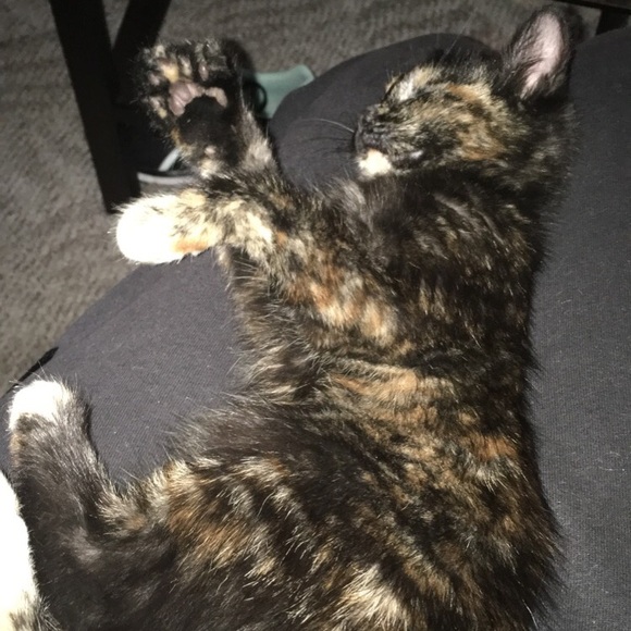 P L E A S E R E A D - Picture 6 of 10